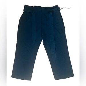 DKNY Midnight Blue Ankle Pants